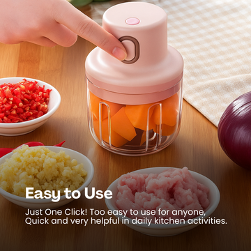 KolorFish Electric Mini Garlic Chopper 250ml Electric Vegetable Chopper